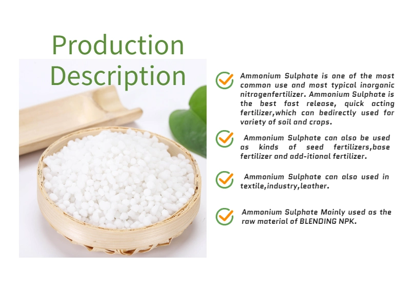 Competitive Price Ammonium Sulfate Top Grade Granular Ammonium Sulphate